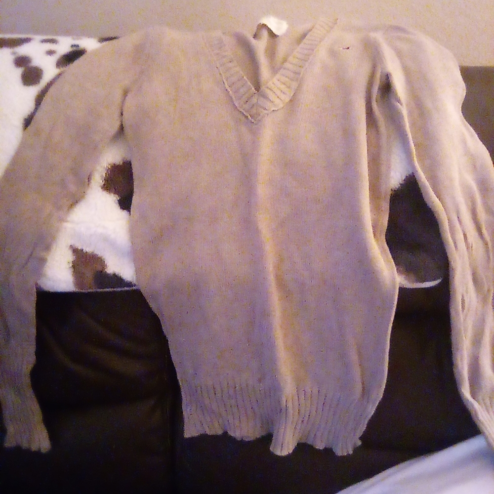 Hollister sweater